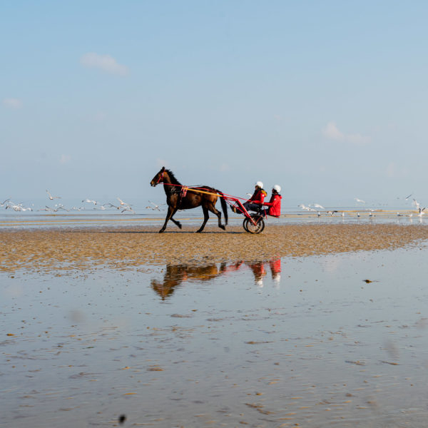 #sulkyexperience Baptême initiation au trot attelé sulky tandem deauville normandie plage