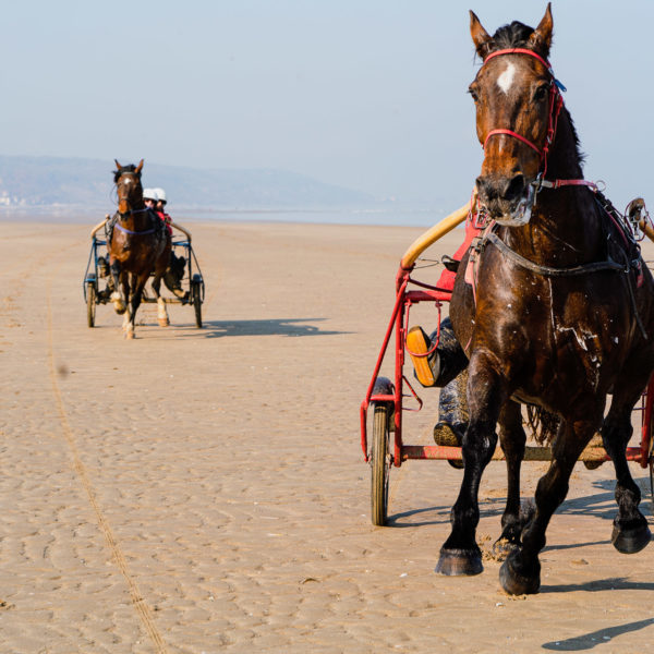 Course sur la plage