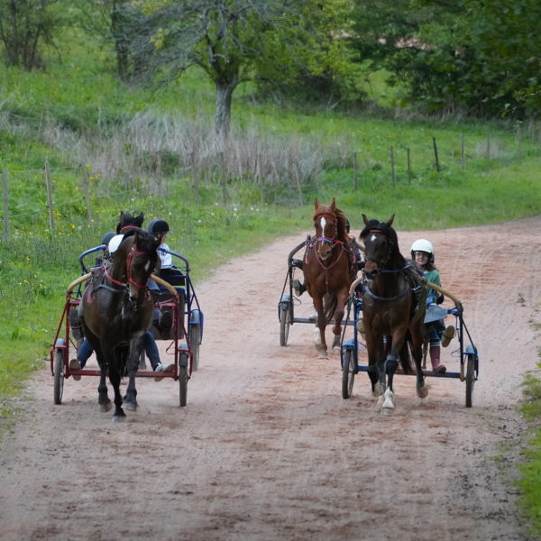 Simulation courses sur la piste