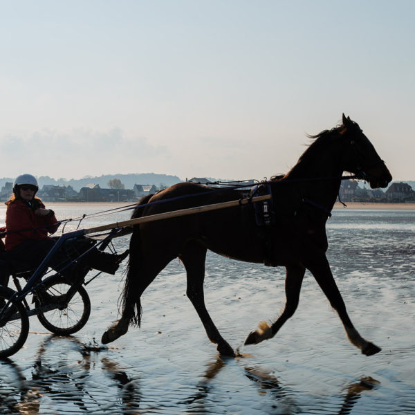 Sulky tandem sur la plage de Deauville