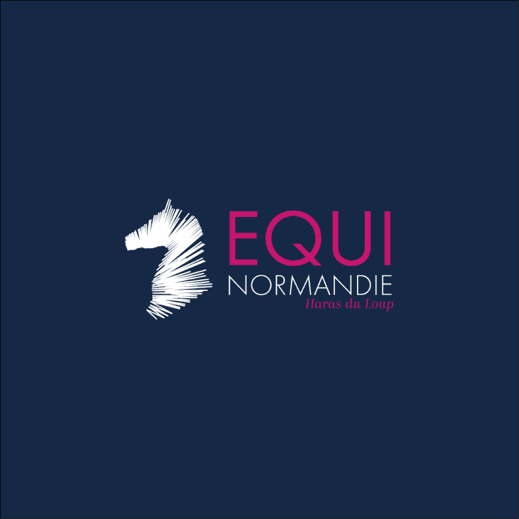 Logo Equi Normandie