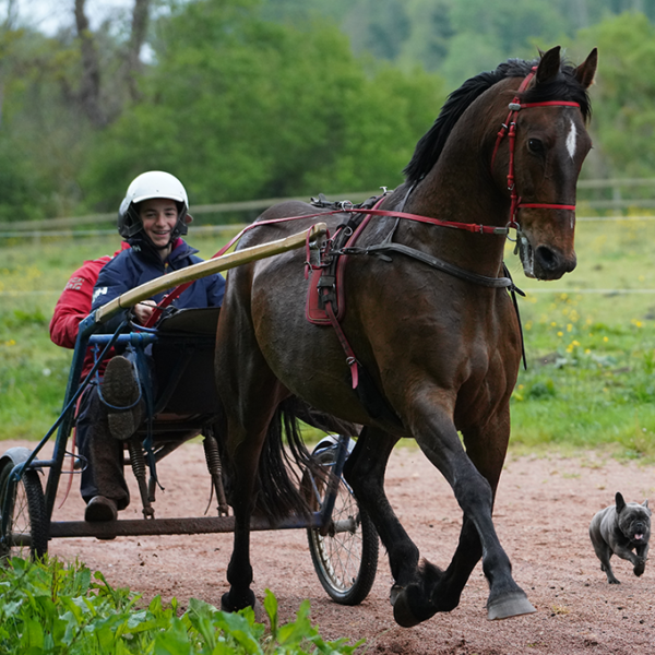 vignette bapteme piste 1