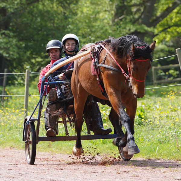 vignette bapteme piste 2